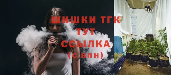 дживик Белокуриха